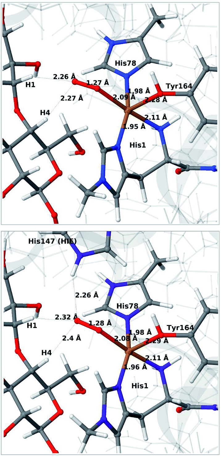 Molecular Mechanism Of Lytic Polysaccharide Monooxygenases Chemical Science Rsc Publishing