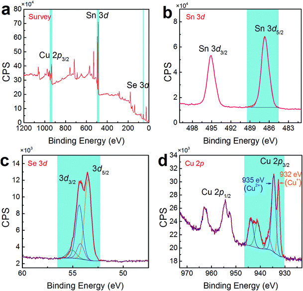 Boosting the thermoelectric performance of ptype heavily Cudoped