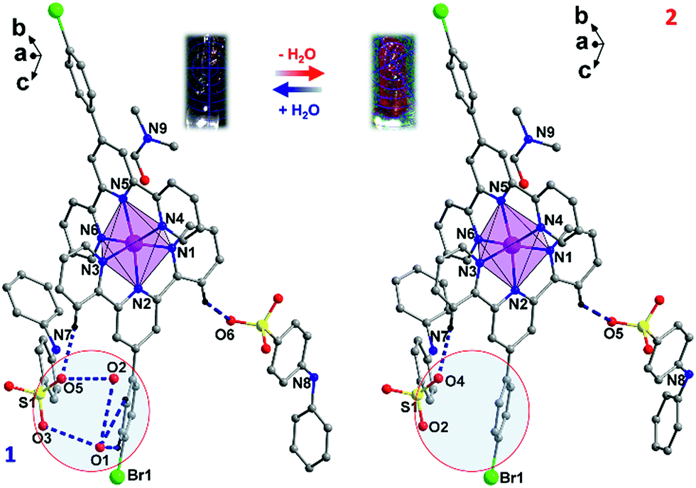 Reversible On Off Switching Of Both Spin Crossover And Single Molecule Magnet Behaviours Via A Crystal To Crystal Transformation Chemical Science Rsc Publishing