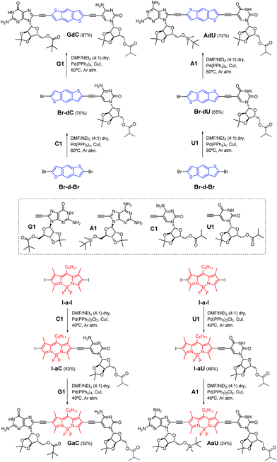 Understanding Complex Supramolecular Landscapes Non Covalent Macrocyclization Equilibria Examined By Fluorescence Resonance Energy Transfer Chemical Science Rsc Publishing