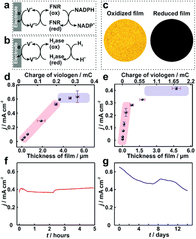 Preventing the coffee-ring effect and aggregate sedimentation by in ...