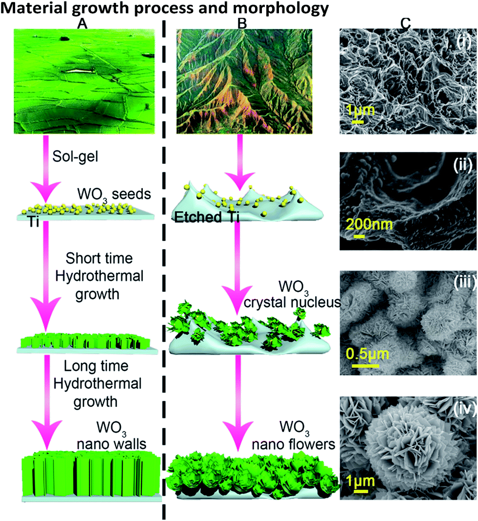 Photogenerated Carrier Separation Along Edge Dislocation Of Wo3 Single Crystal Nanoflower Photoanode Journal Of Materials Chemistry A Rsc Publishing