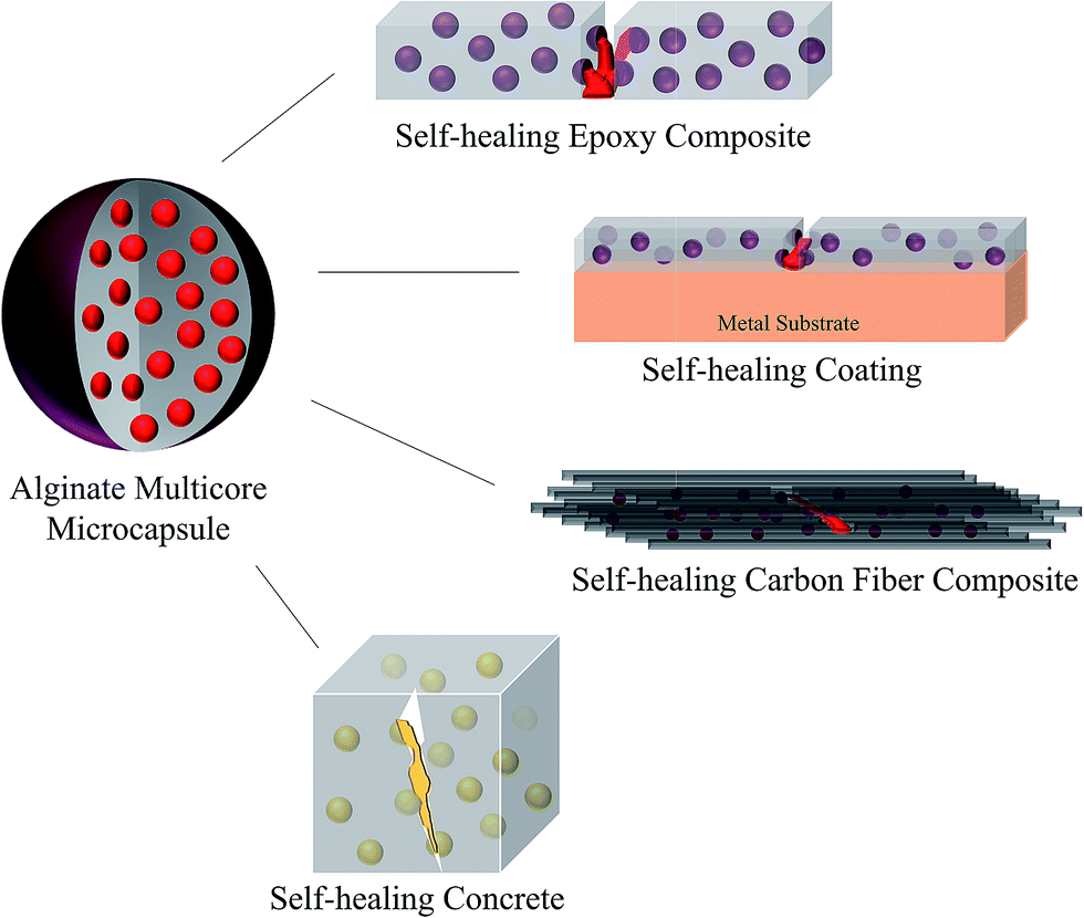 A Novel Repeated Self Healing Epoxy Composite With Alginate Multicore Microcapsules Journal Of Materials Chemistry A Rsc Publishing