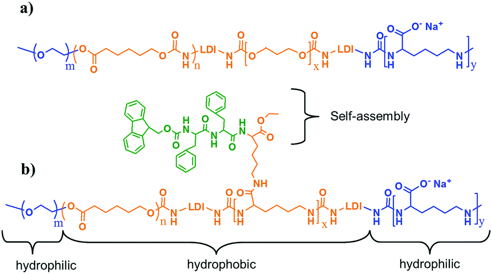 A Biomimetic Hierarchical Structure With A Hydrophilic Surface And A Hydrophobic Subsurface Constructed From Waterborne Polyurethanes Containing A Self Assembling Peptide Extender Journal Of Materials Chemistry B Rsc Publishing