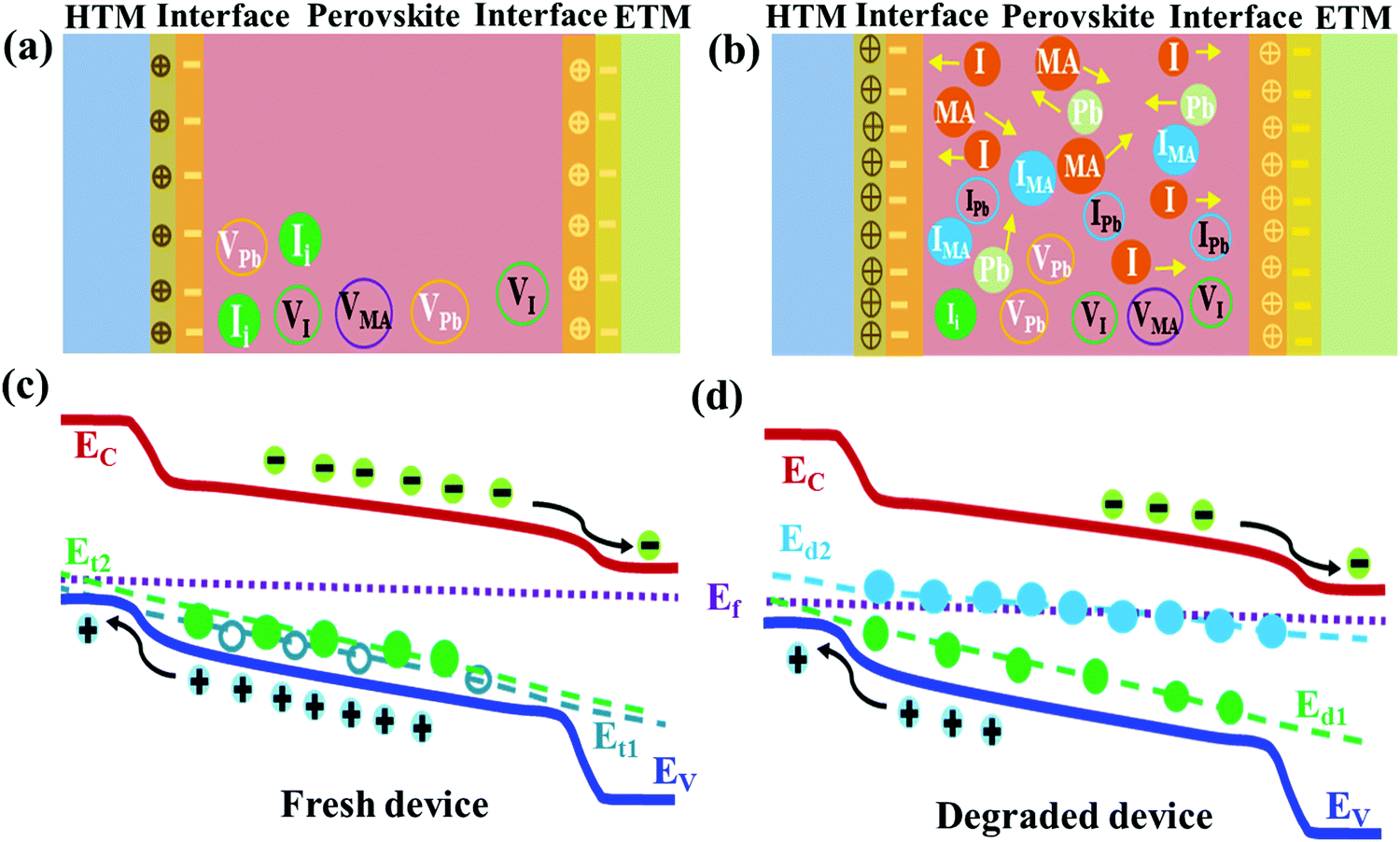 Degradation Of Encapsulated Perovskite Solar Cells Driven By Deep Trap States And Interfacial Deterioration Journal Of Materials Chemistry C Rsc Publishing