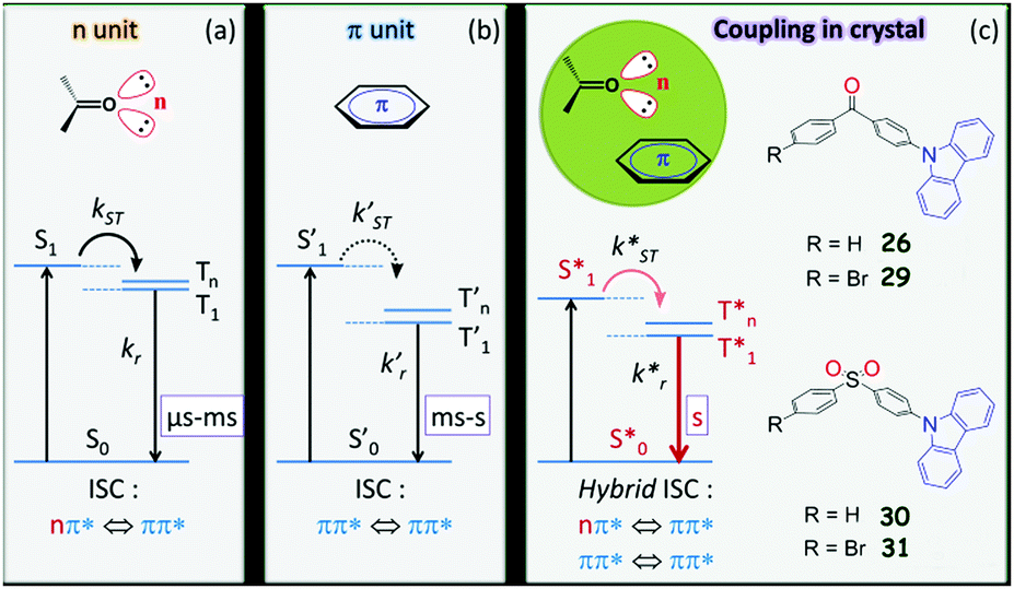 Metal Free Room Temperature Phosphorescence From Molecular