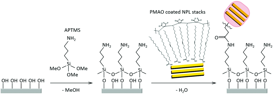 Electronic transport in CdSe nanoplatelet based polymer fibres ...