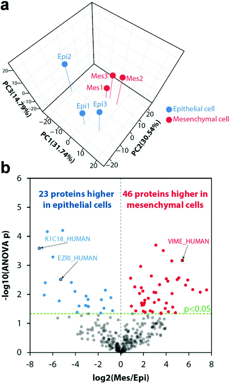 New mass spectrometry technologies contributing towards comprehensive and  high throughput omics analyses of single cells - Analyst (RSC Publishing)  DOI:10.1039/C8AN01574K