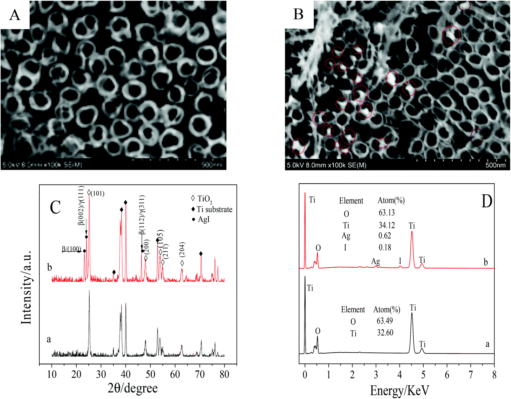 A visible light driven photoelectrochemical molecularly imprinted