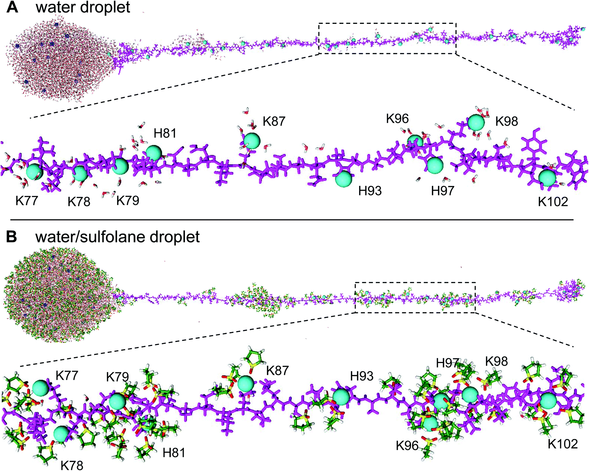 Charging and supercharging of proteins for mass spectrometry