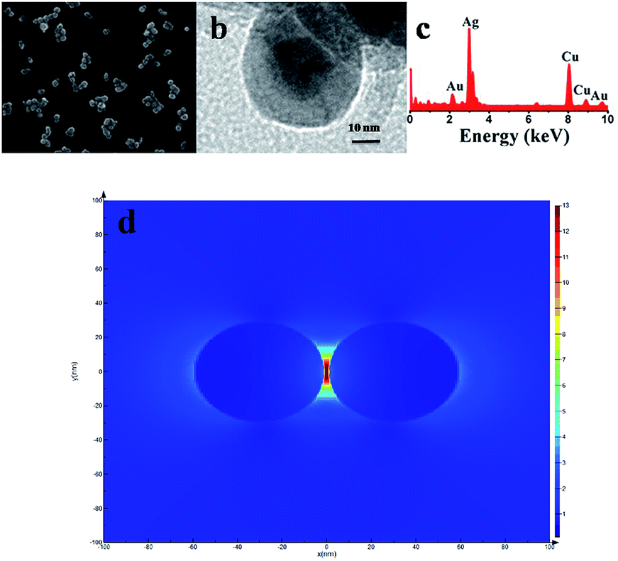 Ultrasensitive Detection Of Trinitrotoluene By Fe 3 O 4 Mtio 2 P Atp Tnt Au Ag Sers Sensor Via Synergetic Effect Analytical Methods Rsc Publishing Doi 10 1039 C8ayg
