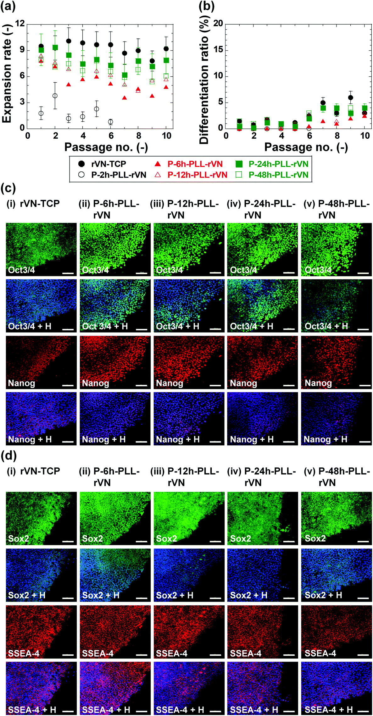 Xeno Free And Feeder Free Culture And Differentiation Of Human Embryonic Stem Cells On Recombinant Vitronectin Grafted Hydrogels Biomaterials Science Rsc Publishing Doi 10 1039 C9bma