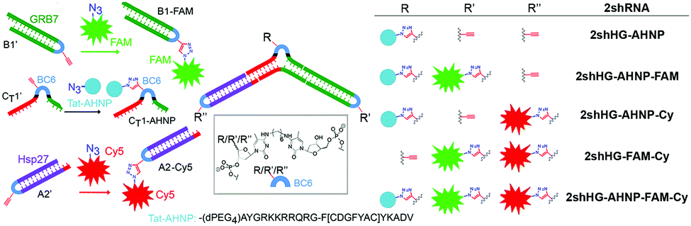 A Multifunctional Toolkit For Target Directed Cancer Therapy Chemical Communications Rsc Publishing Doi 10 1039 C8cc08823c