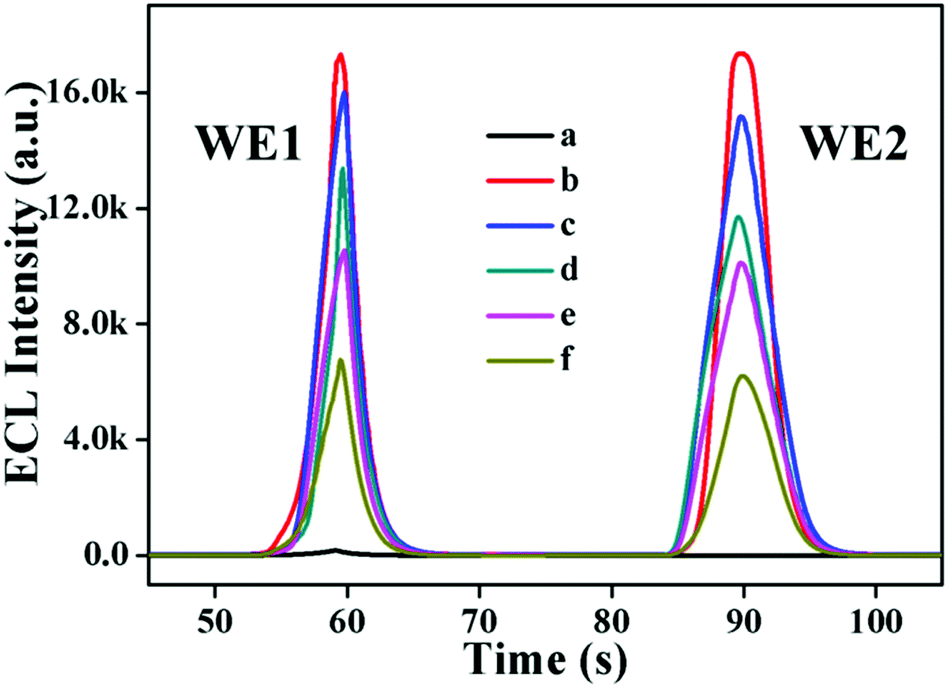 セレクトK A novel electrochemiluminescence resonance energy transfer