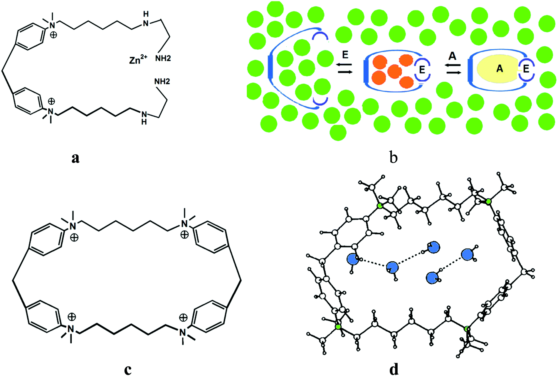 Strain effects determine the performance of artificial allosteric