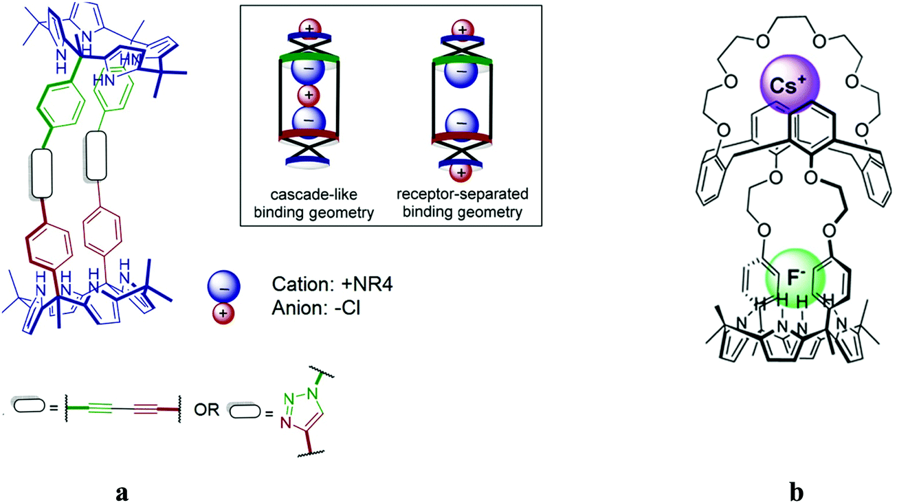 Strain effects determine the performance of artificial allosteric