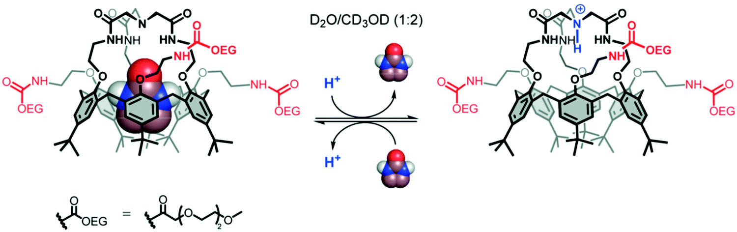 Strain effects determine the performance of artificial allosteric