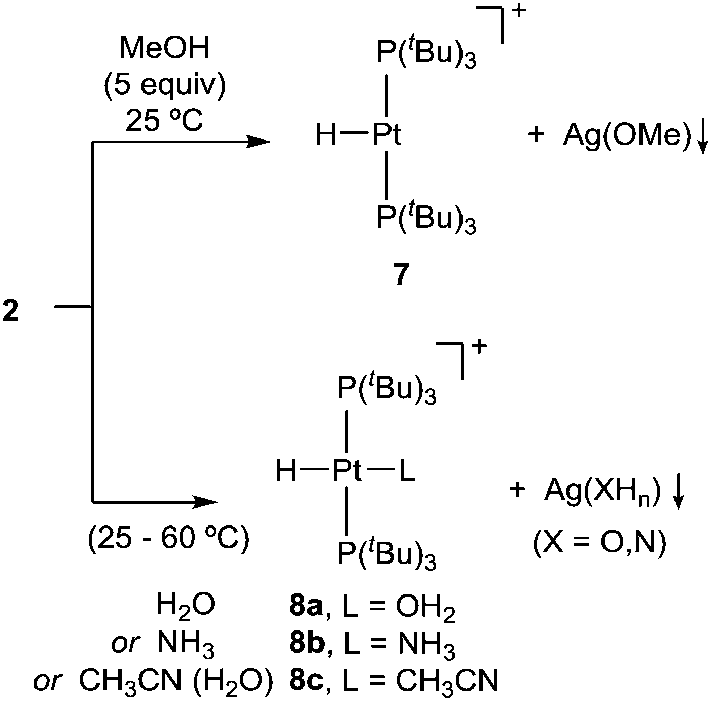 Cooperative Activation Of X H X H C O N Bonds By A Pt 0 Ag I Metal Only Lewis Pair Chemical Communications Rsc Publishing Doi 10 1039 C9cce