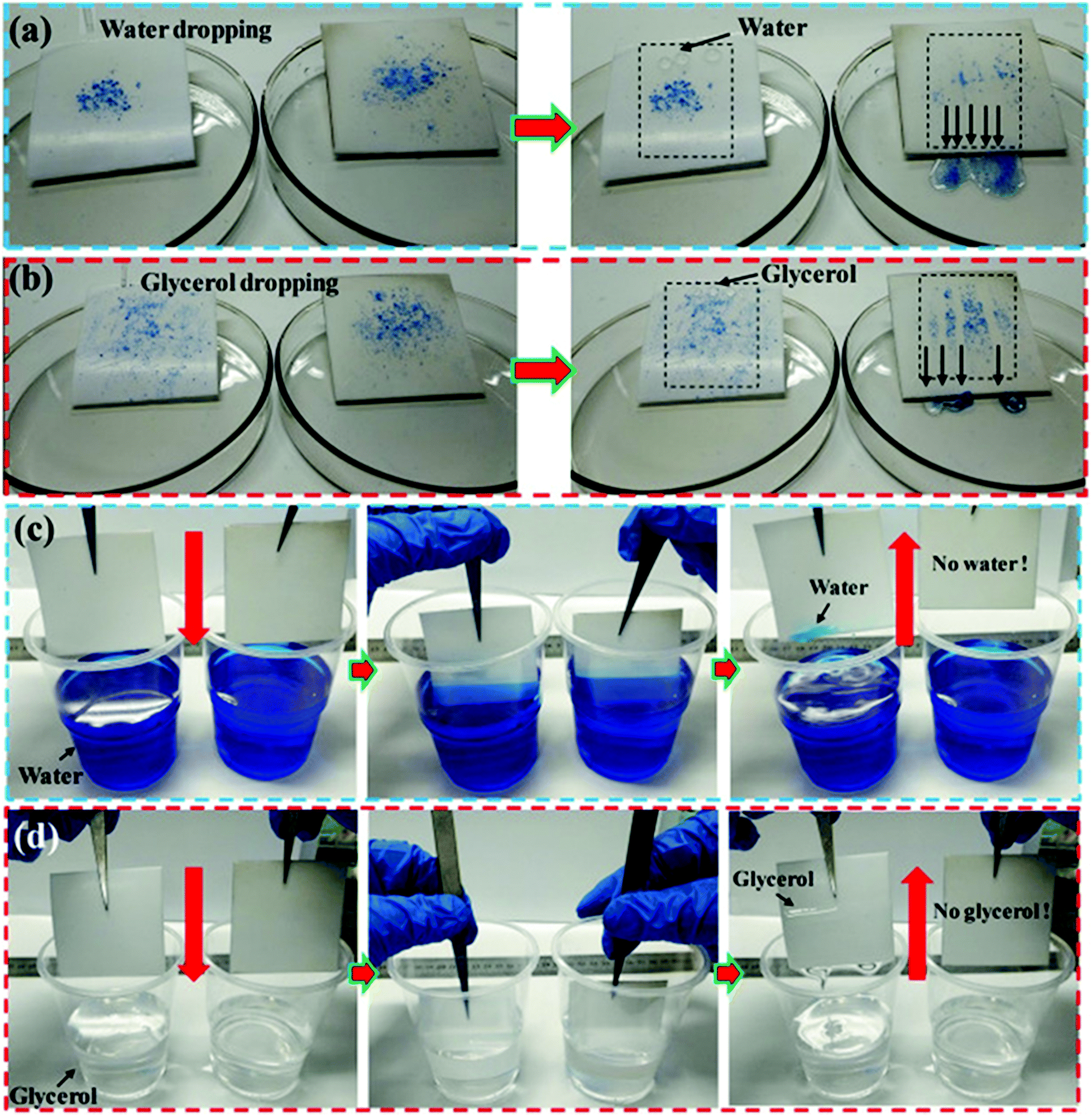 Biomimetic Polymeric Superamphiphobic Surfaces Their