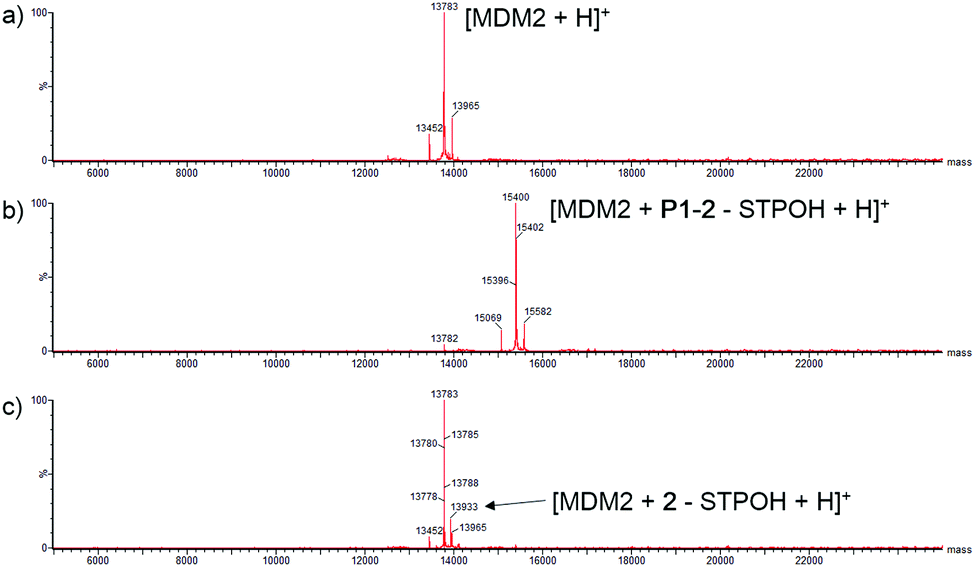 Targeted Covalent Inhibitors Of Mdm2 Using Electrophile Bearing Stapled Peptides Chemical Communications Rsc Publishing Doi 10 1039 C9ccf