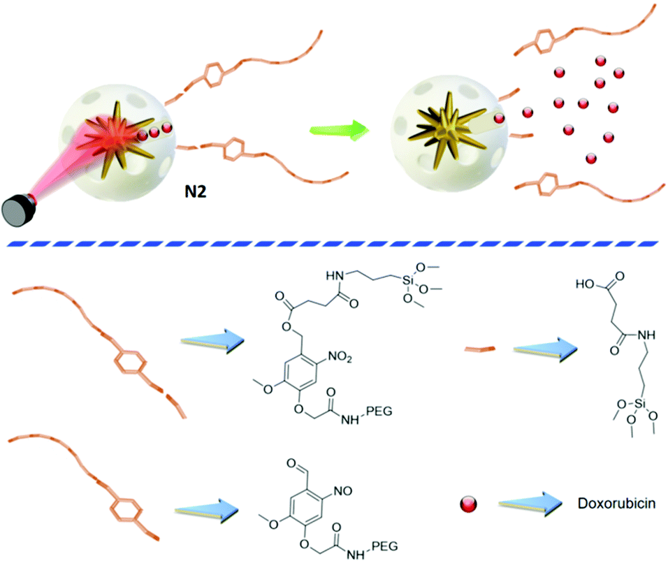 A NIR light-triggered drug delivery system using core–shell gold 