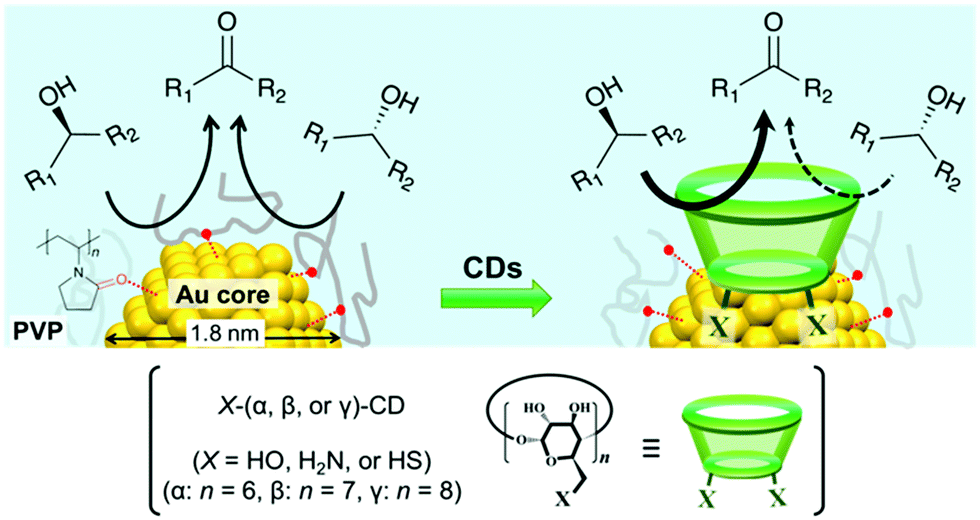Asymmetric Aerobic Oxidation Of Secondary Alcohols Catalyzed By Poly N Vinyl 2 Pyrrolidone Stabilized Gold Clusters Modified With Cyclodextrin Deri Chemical Communications Rsc Publishing Doi 10 1039 C9cca