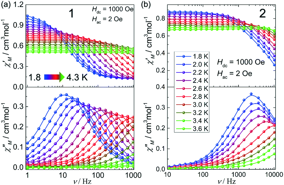 From Mononuclear To Two Dimensional Cobalt Ii Complexes Based On A Mixed Benzimidazole Dicarboxylate Strategy Syntheses Structures And Magnetic Crystengcomm Rsc Publishing Doi 10 1039 C8ceb