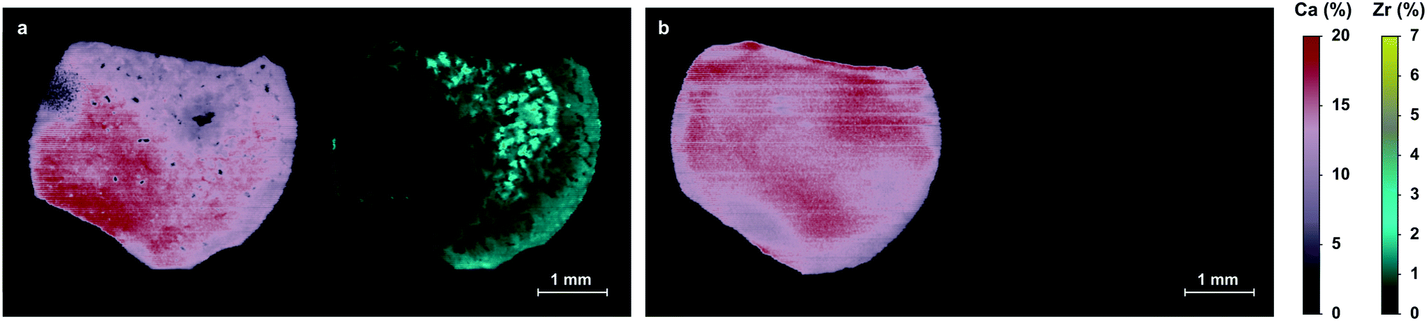 Lead-free piezoelectric crystals grown by the micro-pulling down 