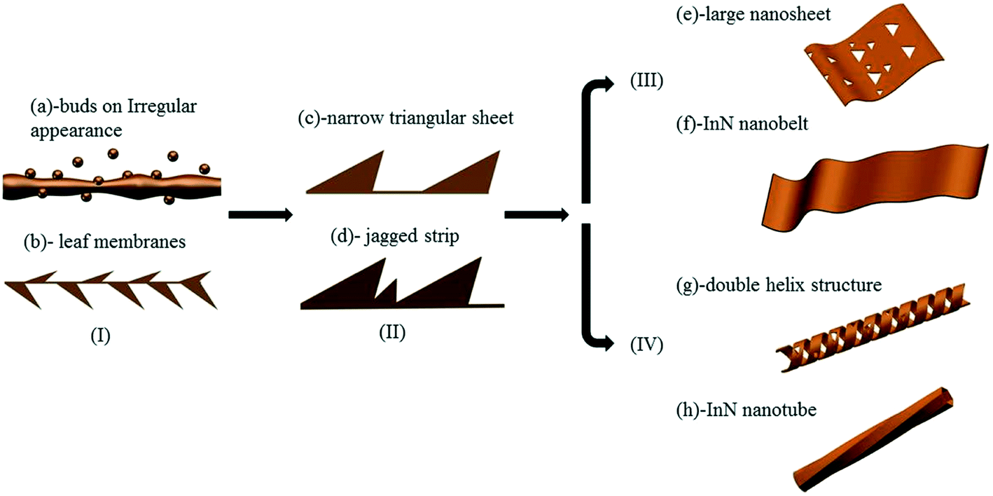 Synthesis and morphology evolution of indium nitride (InN