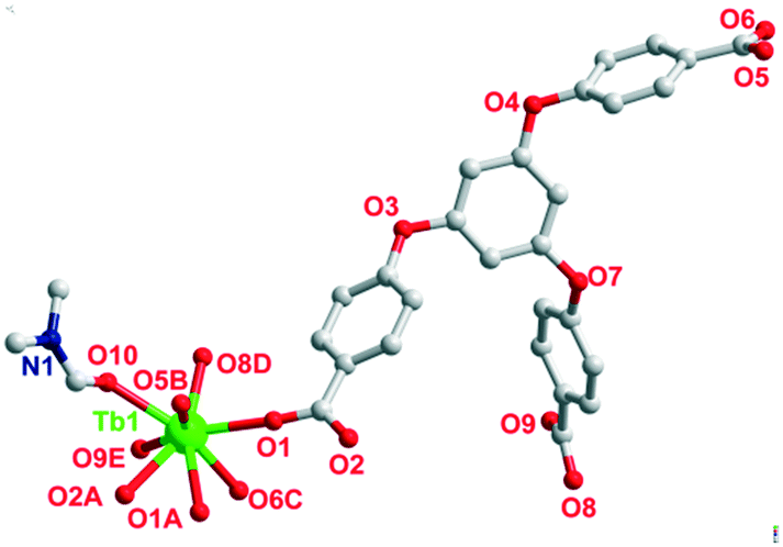 A Bifunctional 3d Tb Based Metal Organic Framework For Sensing And Removal Of Antibiotics In Aqueous Medium Crystengcomm Rsc Publishing Doi 10 1039 C9ceb