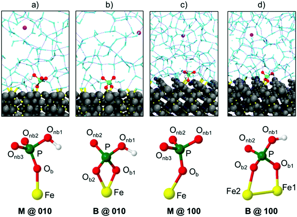 Infrared Spectroscopic Characterization Of Phosphate Binding