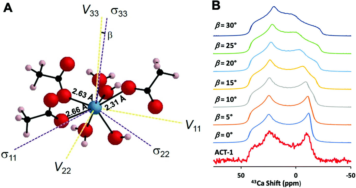 A New Nmr Crystallographic Approach To Reveal The Calcium Local Structure Of Atorvastatin Calcium Physical Chemistry Chemical Physics Rsc Publishing Doi 10 1039 C8cpa