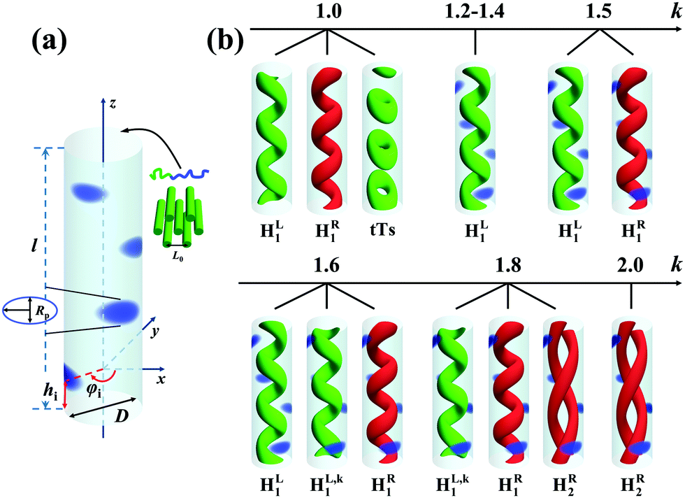 Formation of homochiral helical nanostructures in diblock 