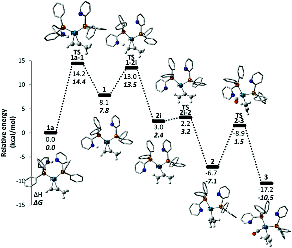 Palladium catalysed alkyne alkoxycarbonylation with P N chelating