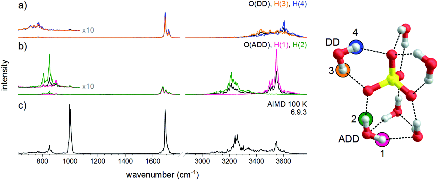 Vibrational spectroscopy of the hexahydrated sulfate dianion