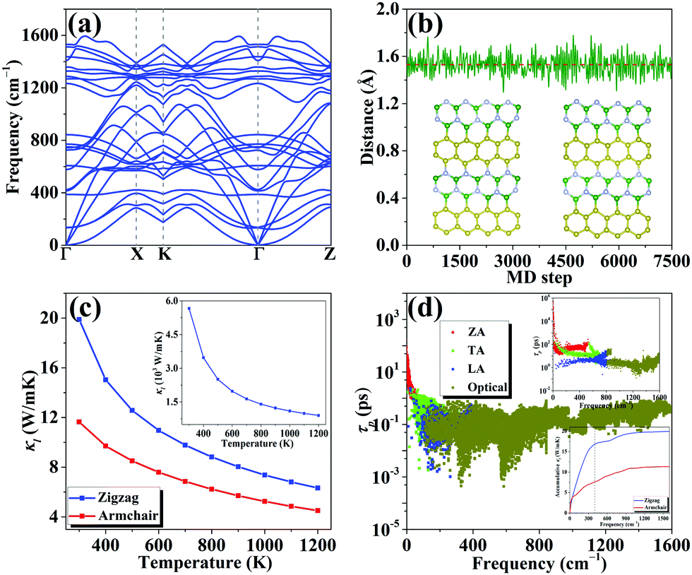 Realizing high thermoelectric performance with comparable p- and n 