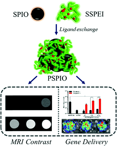 Metallopolymers for advanced sustainable applications
