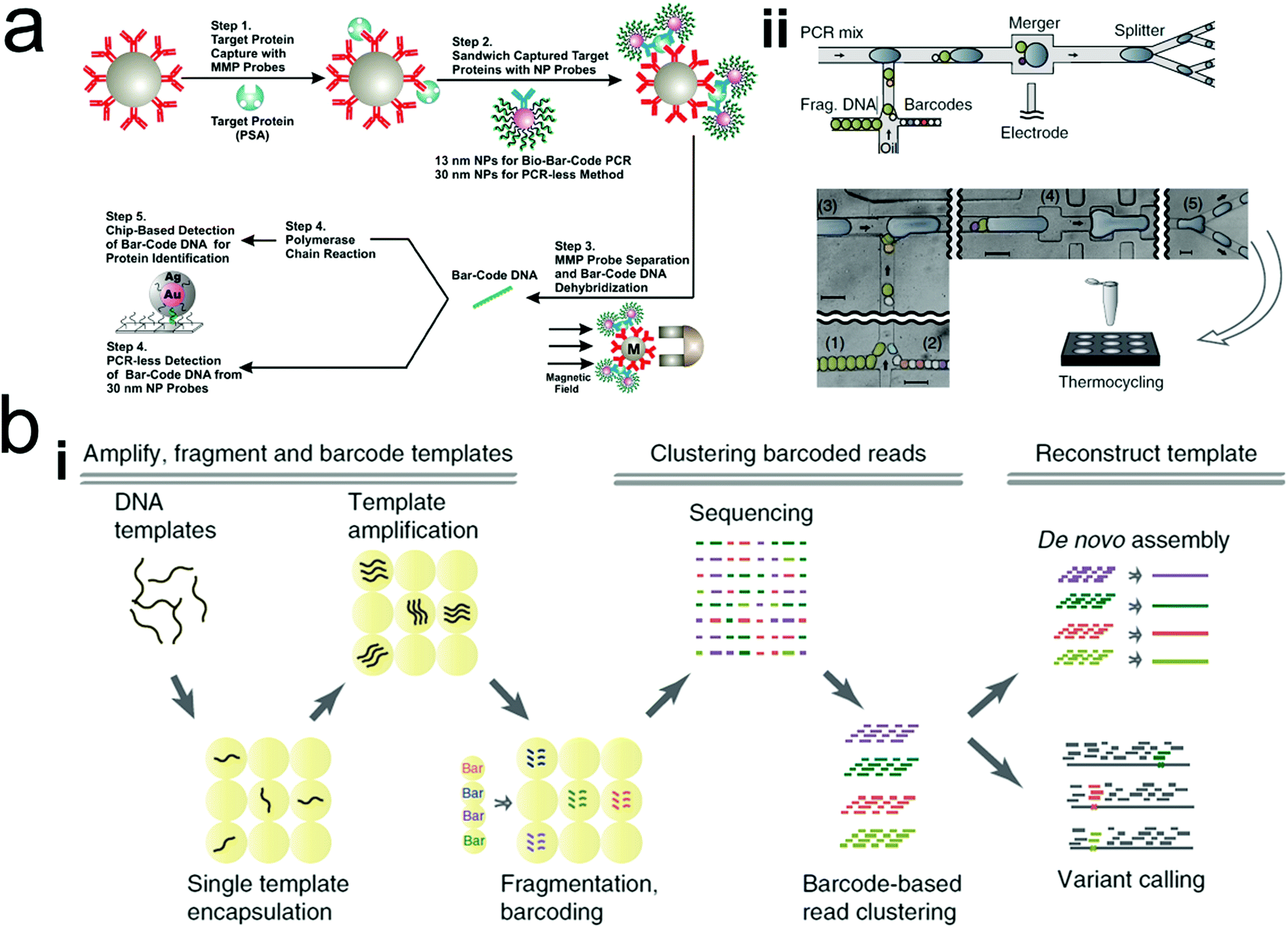 Barcoded Point Of Care Bioassays Chemical Society Reviews Rsc Publishing Doi 10 1039 C8cs00303c