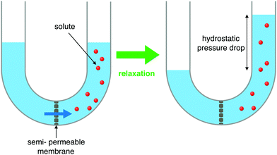 Osmosis From Molecular Insights To Large Scale Applications Chemical Society Reviews Rsc Publishing Doi 10 1039 C8cs00420j