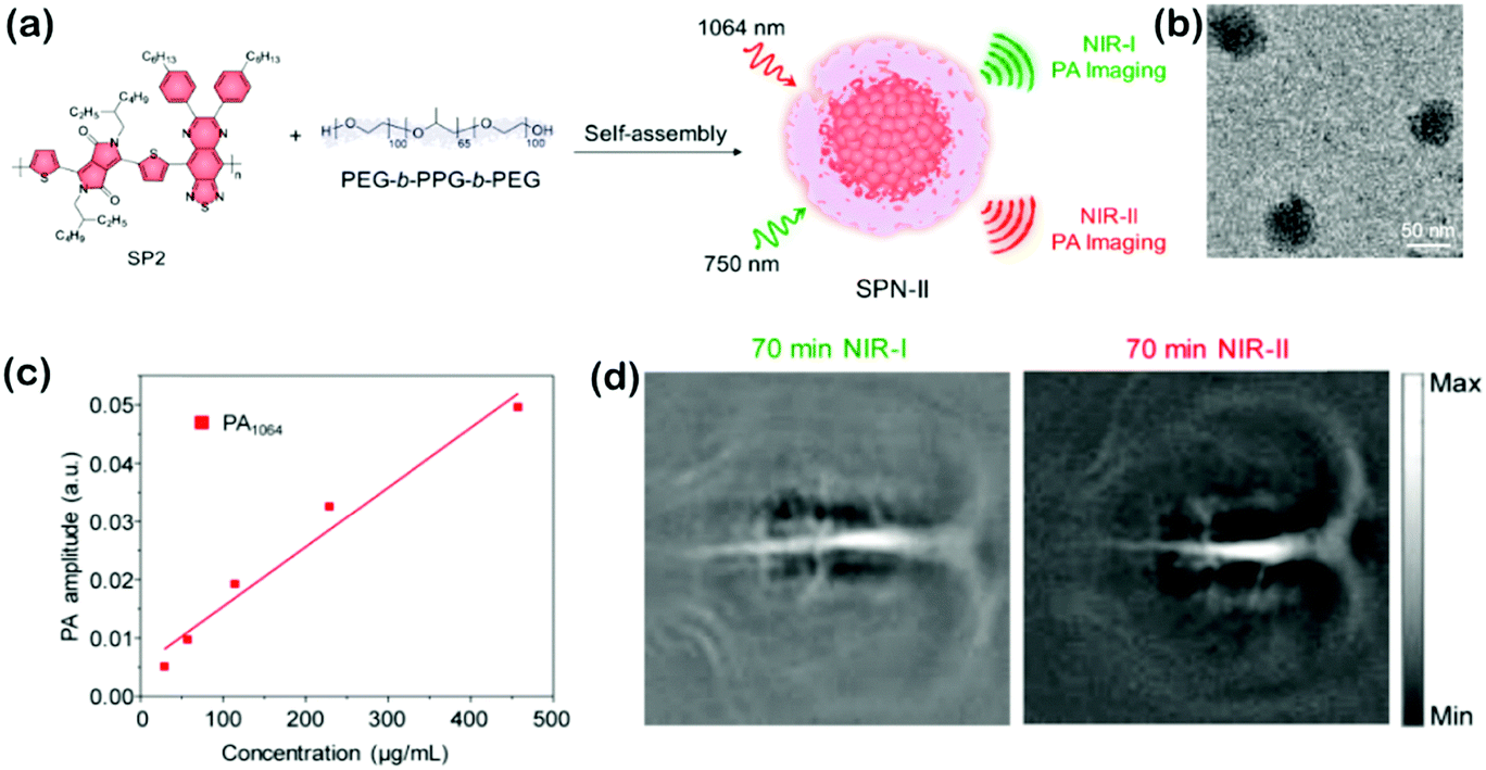 Optical nano-agents in the second near-infrared window for 