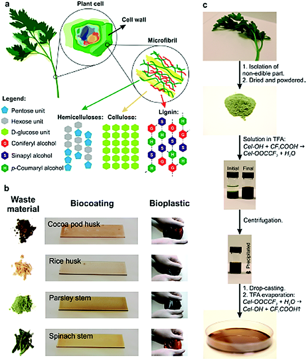Units factory equivalents, Enhancers and Substitutes for Cocoa Butter