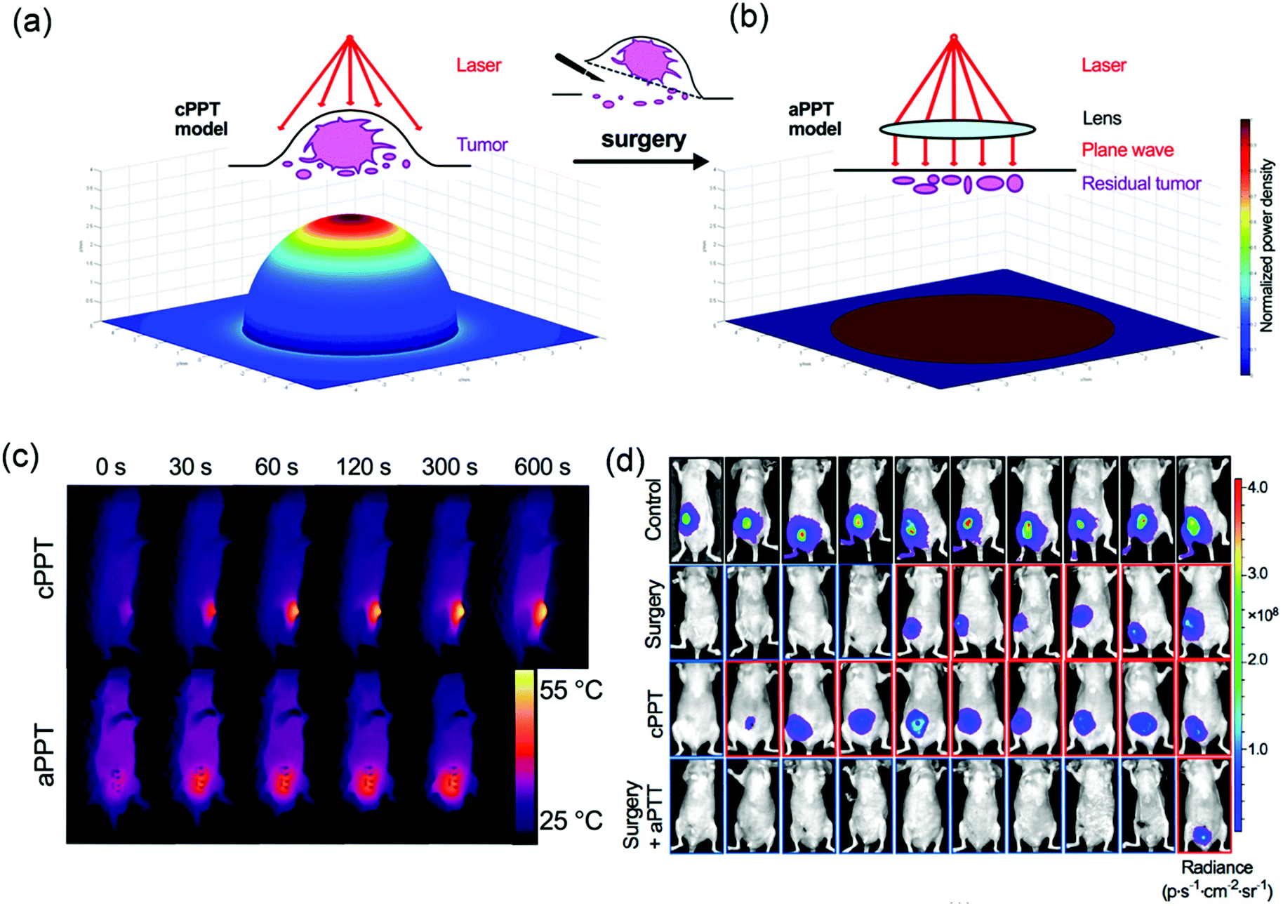 Photothermal therapy and photoacoustic imaging via Photothermal therapy and photoacoustic imaging via