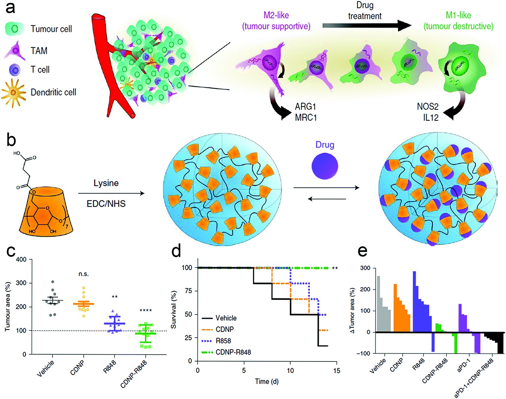 Recent advances in nanomaterial-based synergistic