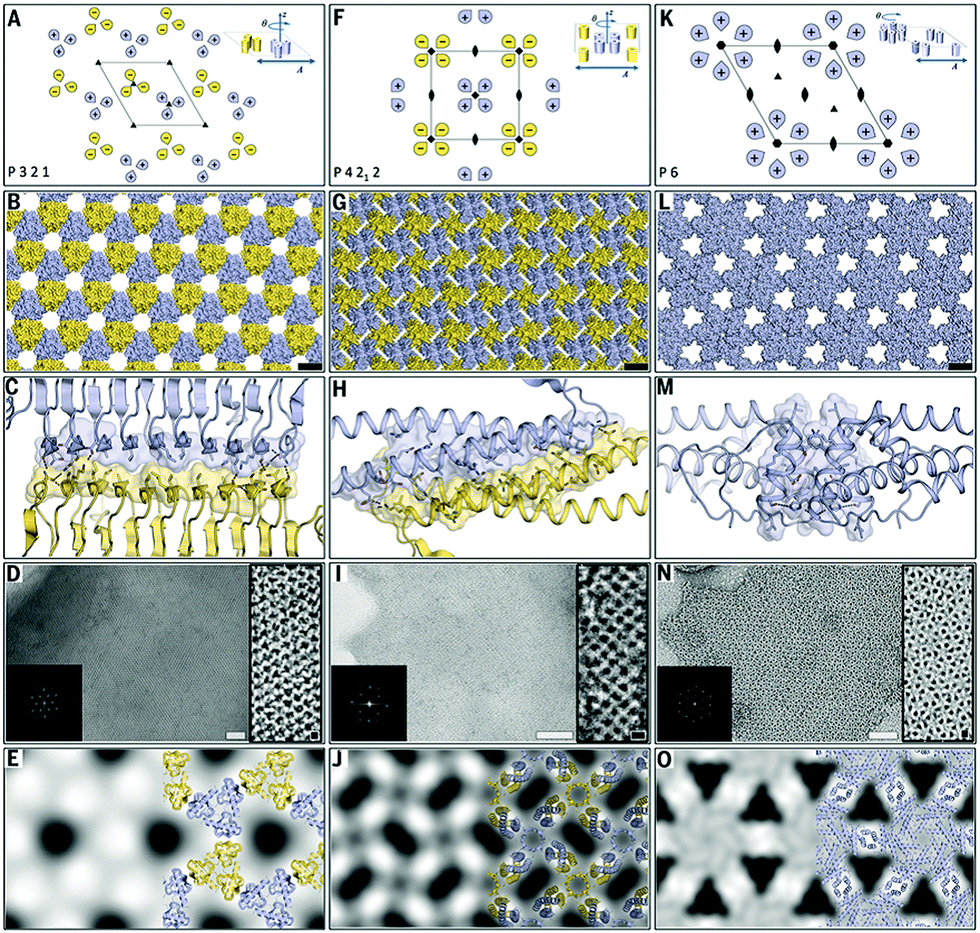 プロテクションベース 2本セット Lights and Dots toward Therapy—Carbon-Based Quantum Dots as