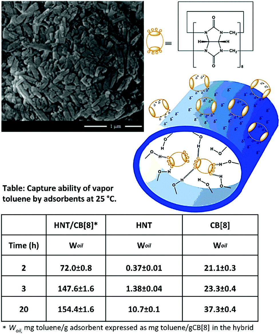 Biocompatible Functionalisation Of Nanoclays For Improved Environmental Remediation Chemical Society Reviews Rsc Publishing Doi 10 1039 C8cs01019f