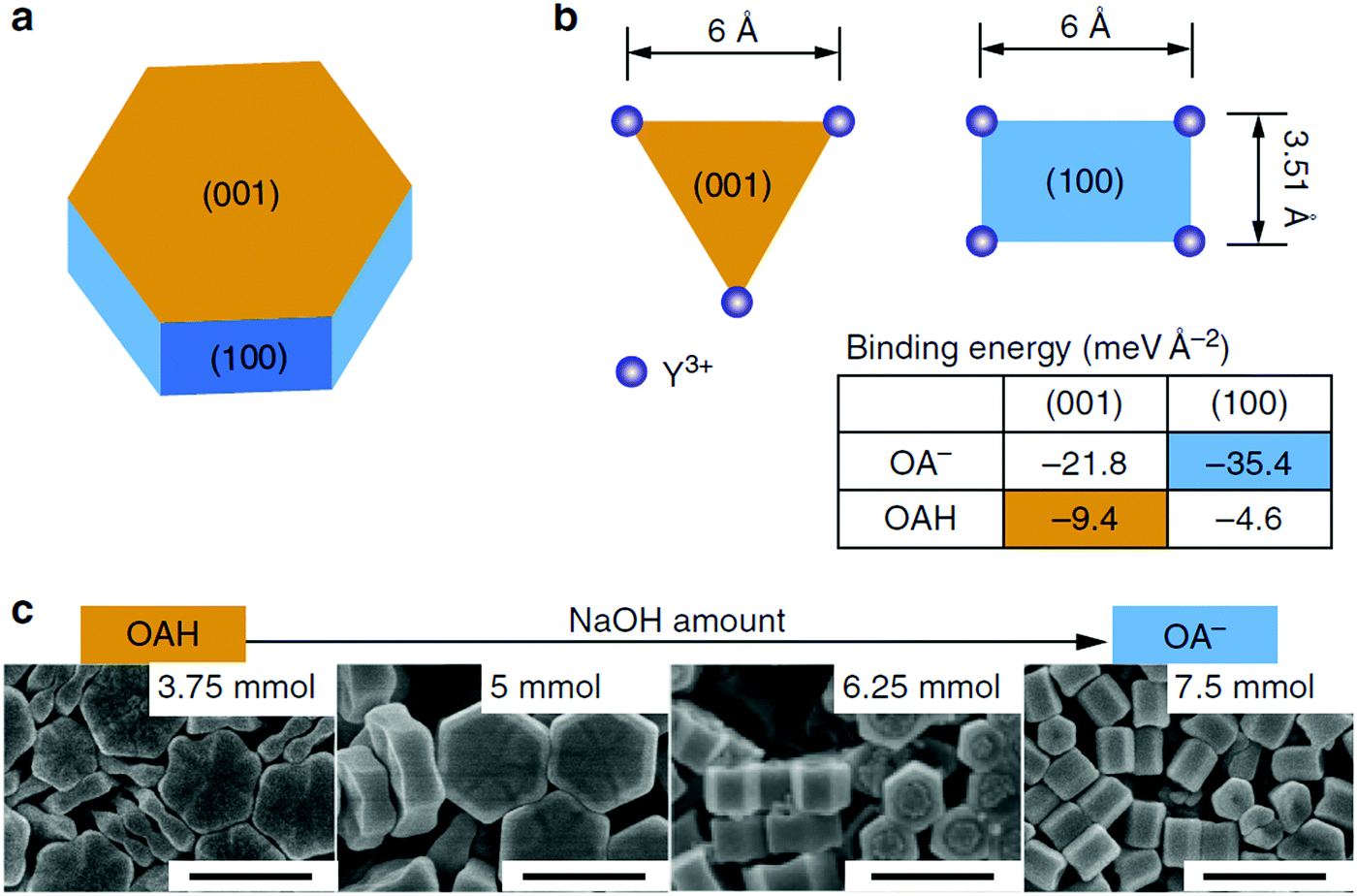 数量限定価格!! Nanoparticles 洋書ハードカバー (Springer 