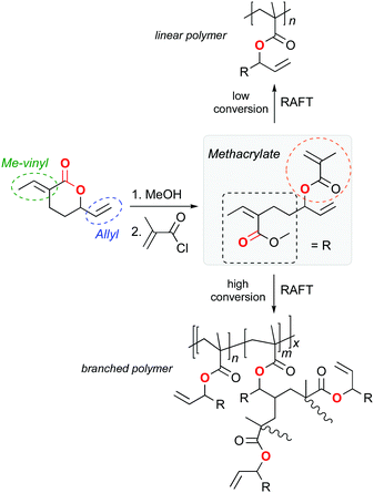 Advances in the use of CO 2 as a renewable feedstock for the