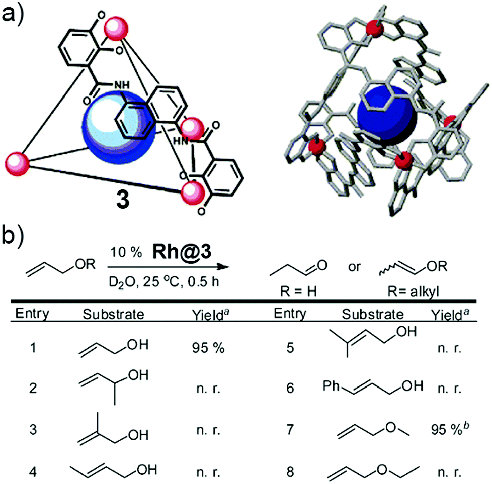 Catalytic reactions within the cavity of coordination cages 