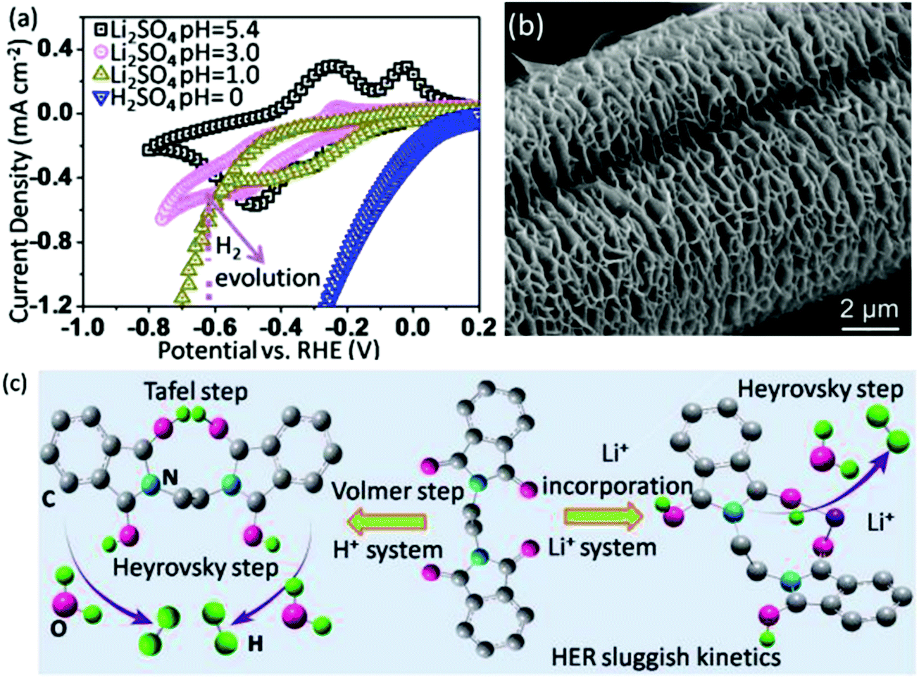 Electrochemical Nitrogen Fixation And Utilization Theories