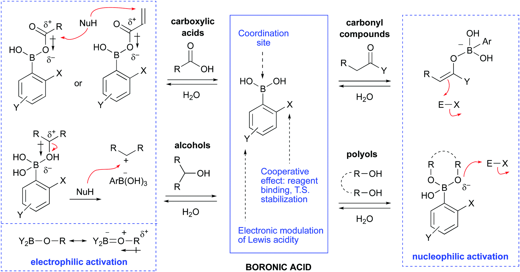 Phenylboronic acid - Wikipedia